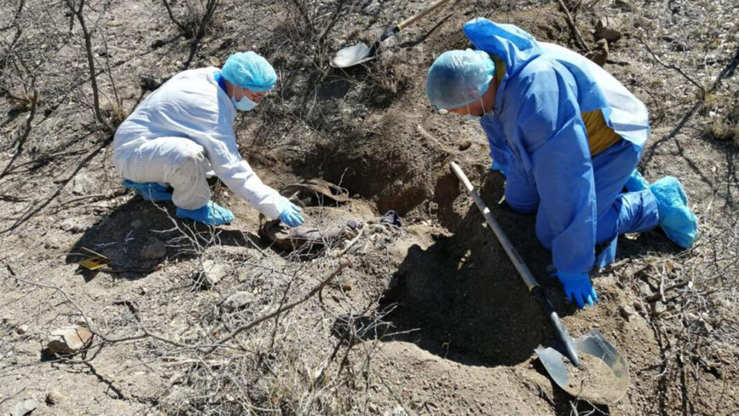 Terror en Michoacán: suman 28 los cadáveres encontrados en fosas clandestinas de Villamar