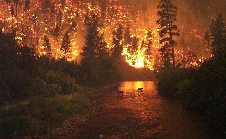 Alistan reunión nacional de protección civil sobre temporada de incendios forestales 2025