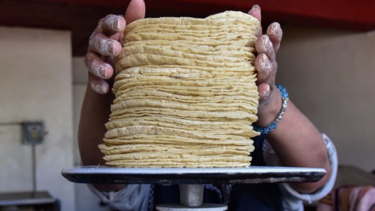 Costo de la tortilla aumenta 61% en tiempos de la 4T / Por Alejandro Durán