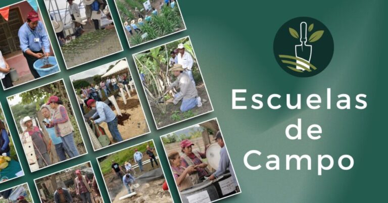 México destaca en AL por impulsar prácticas agroecológicas: Sader / Por Alicia Valverde