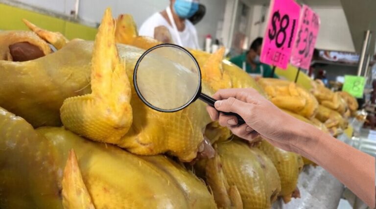 Compara precios: Carne de pollo con diferencias de hasta 40% / Por Alejandro Durán