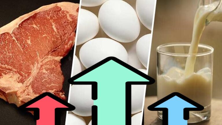 Productos como carne, leche y huevo, con alza de dos dígitos: INEGI / Por Alejandro Durán