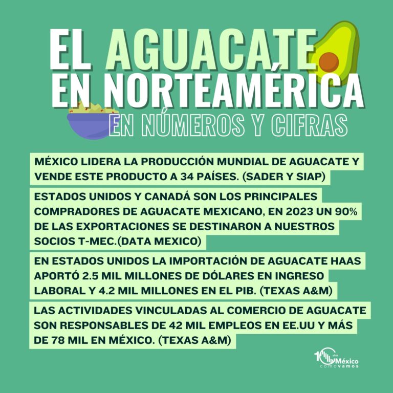 Aguacate mexicano libra el arancel para el Super Bowl / Por Alicia Valverde