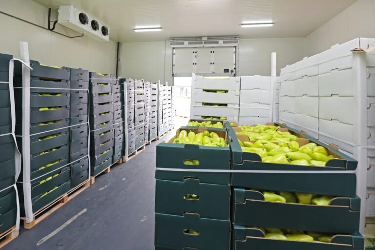 Ante alza en temperaturas, México necesita expandir su capacidad de almacenamiento en frío