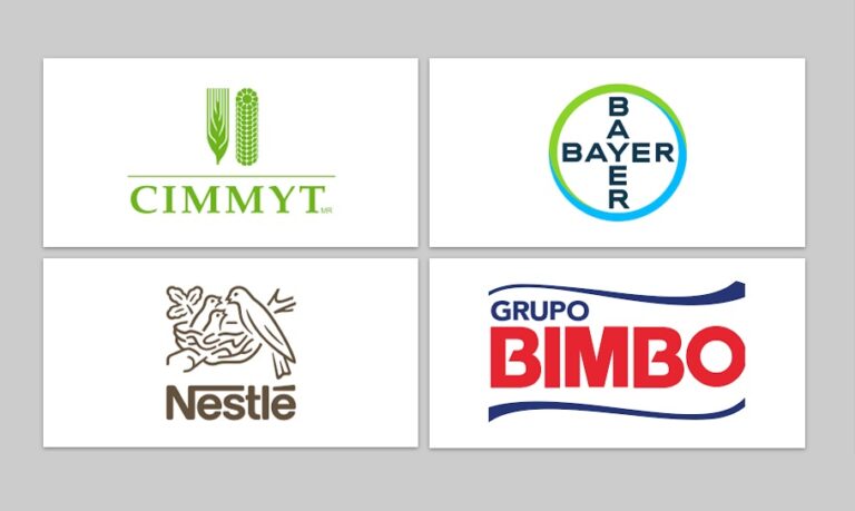 Campo mexicano 2025: Empresas como Bimbo, Nestlé, Bayer y CIMMYT aceleran la agricultura regenerativa en México / Por Miriam Ramírez