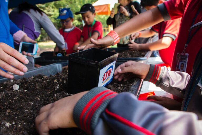 Eco Jornadas LTH: educación, conciencia y acción en la Cumbre Tajín 2025