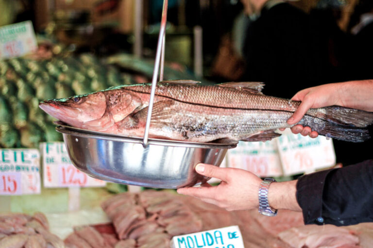Compara precios: Diferencias de hasta 138% en kilo de robalo / Por Alejandro Durán