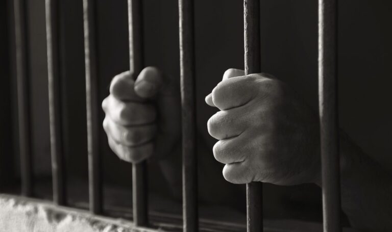 En 7 meses, aseguran 154 toneladas de droga y detiene a más de 20 mil personas por delitos de alto impacto