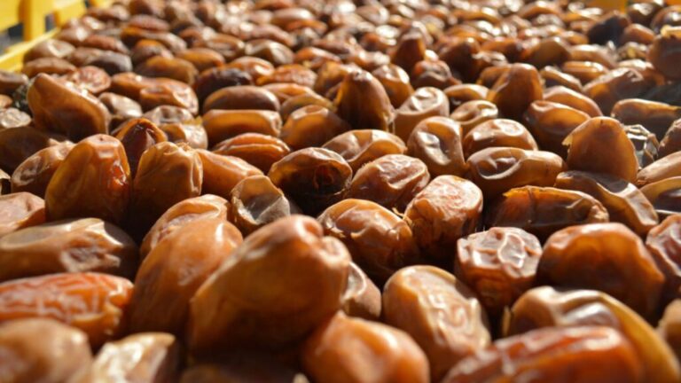 Baja California y Sonora serán sede del 4º Festival Internacional de la Palma Datilera / Por Alicia Valverde