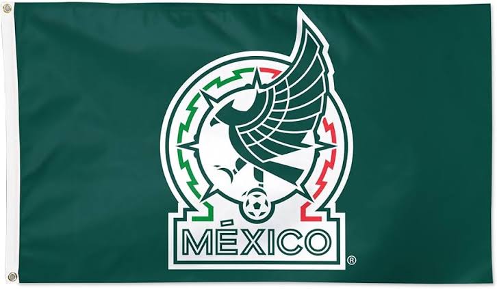 Selección nacional: Ganar la Copa de Oro, próxima misión