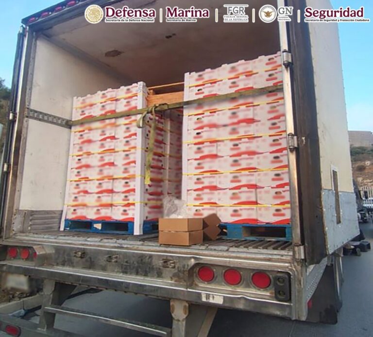 Decomisan en Baja California más de una tonelada de metanfetaminas