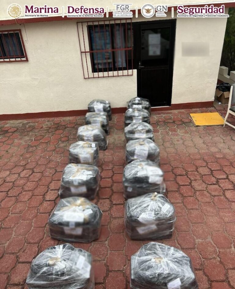Decomisan más de media tonelada de cocaína en Oaxaca