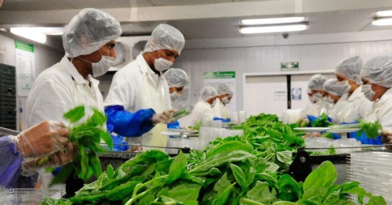 Firman convenio en materia de sanidad e inocuidad agroalimentaria / Por Alicia Valverde