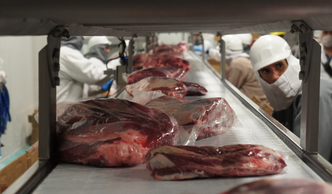 Reconoce Canadá equivalencia del sistema TIF mexicano en cárnicos: Sader / Por Alicia Valverde