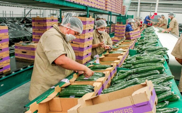 México y Canadá analizan la apertura de nuevos productos / Por Alicia Valverde