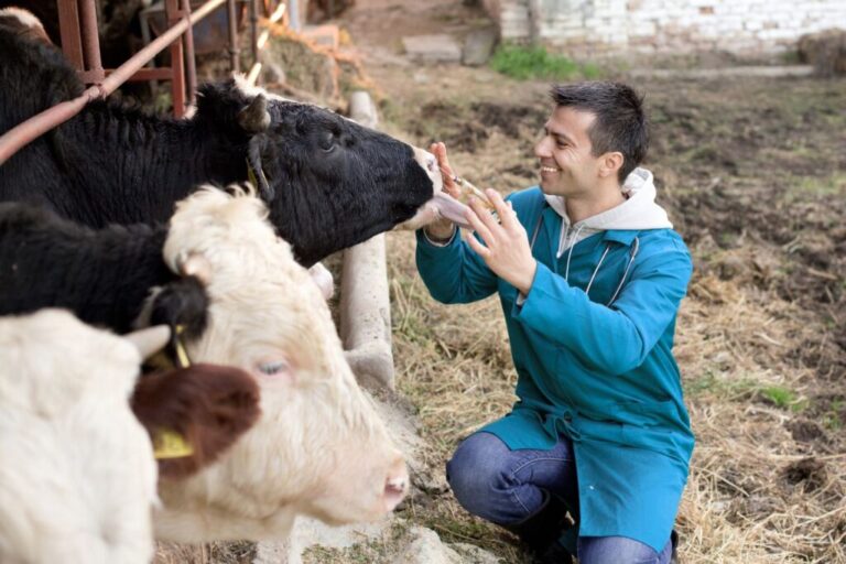 Alerta Sader por falsificación de medicamentos de uso animal / Por Alicia Valverde
