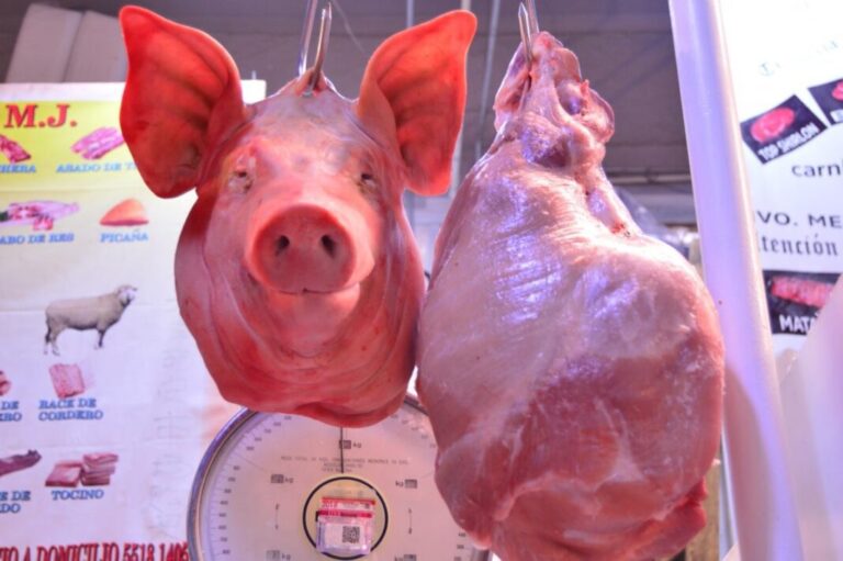 Gasto inteligente en fiestas patrias: Kilo de cabeza de cerdo con diferencias de 60% / Por Alejandro Durán