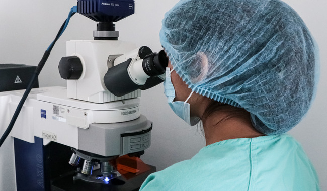 Advierte Sader comercialización de medicamentos veterinarios falsos y sin registro / Por Alicia Valverde