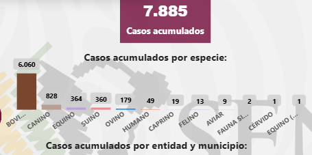 México acumula 7 mil 885 casos de gusano barrenador del ganado; 690 están activos: Senasica / Por Alicia Valverde