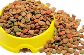 Fabricantes de alimentos balanceados padecen disponibilidad de maíz y soya / Por Alicia Valverde