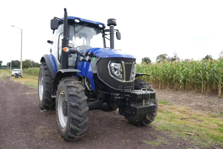 Productores de maíz piden diálogo al gobierno federal y seguridad en actividades agrícolas / Por Alicia Valverde