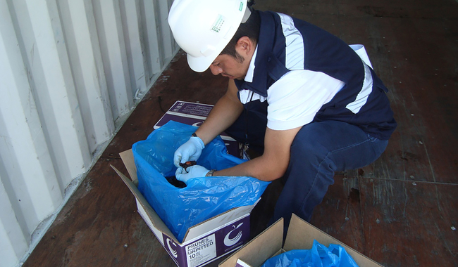 Rechaza Sader mil 65 cargamentos; 70% correspondió a productos de origen animal / Por Alicia Valverde