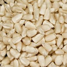 Reconoce titular de Sader que productores de maíz obtienen una utilidad modesta /Por Alicia Valverde