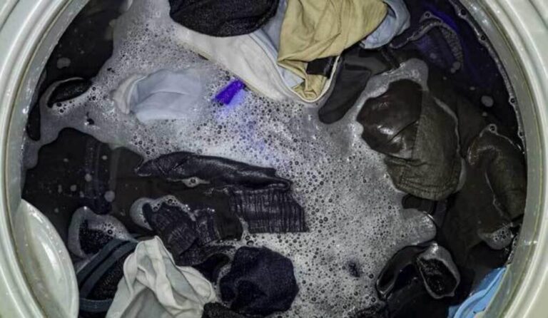 Estudiantes del IPN crean plástico que al degradarse purifica el agua