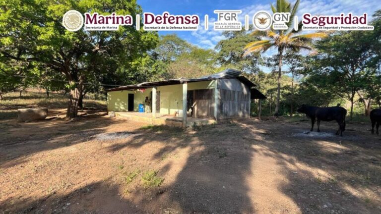 En Guerrero, aseguran laboratorio para la producción de drogas sintéticas