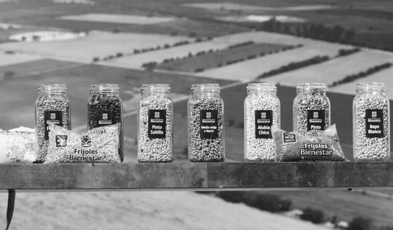 El nuevo laberinto del acopio de granos y las deudas de Perinatología / Por Claudia Bolaños