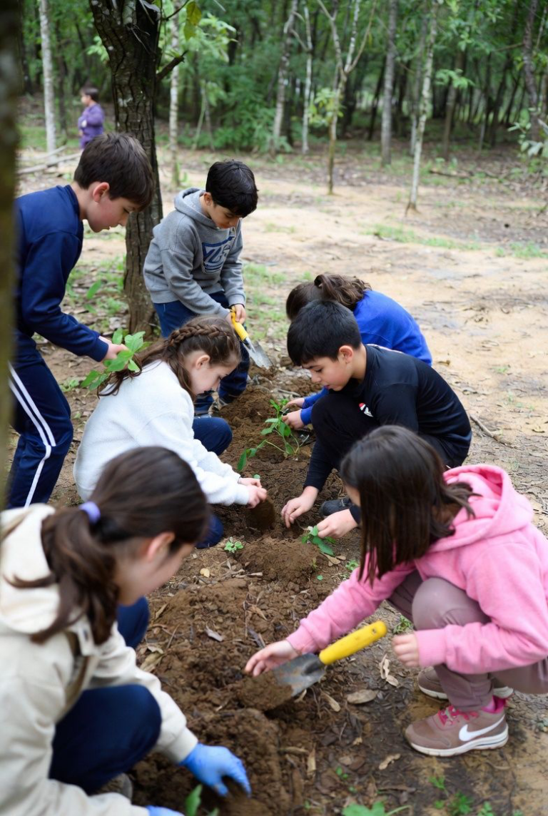 Eco Jornadas proyectan más de 231,000 impactos directos en 2026