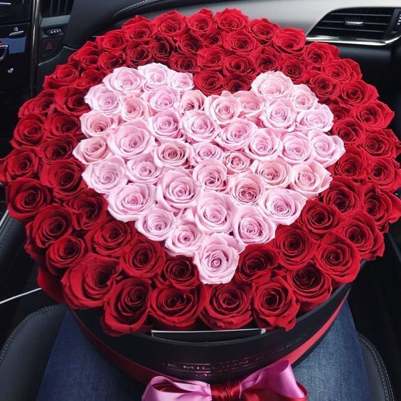 En Jalisco, crece 25 % demanda de rosas por Día del Amor y la Amistad