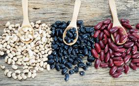 Inifap dona semillas de variedades mejoradas para aumentar la superficie sembrada de frijol / Por Alicia Valverde