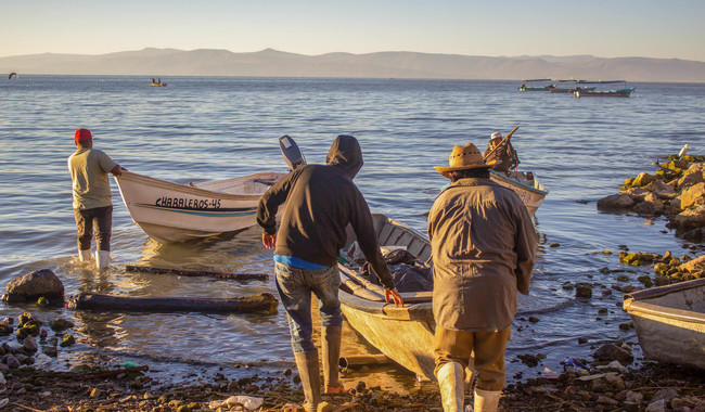 Piden actualizar el certificado de captura pesquera para exportar a la UE / Por Alicia Valverde