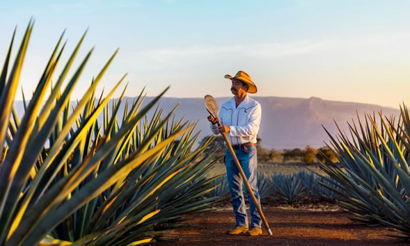Activa Jalisco estrategia de impulso económico con bolsa de 4 mil 662 millones de pesos