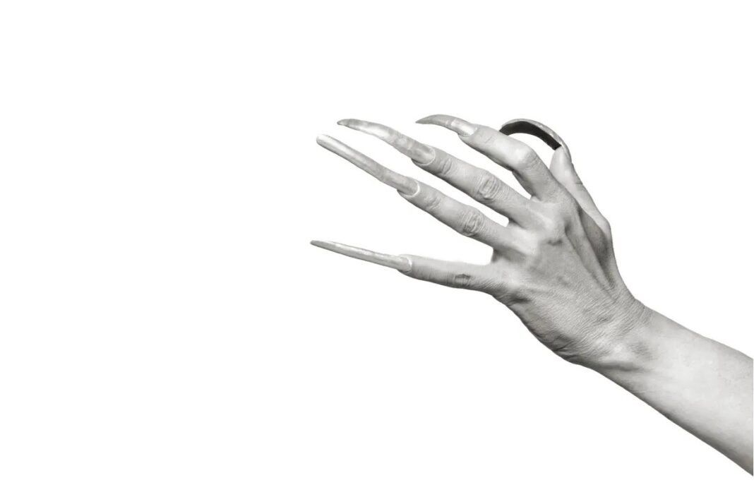 00-mano-larga-garra-aa-1068x704-1
