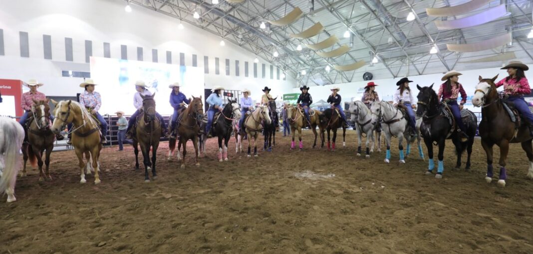 Congreso-del-Caballo-8-1140x544-1-1068x510-1