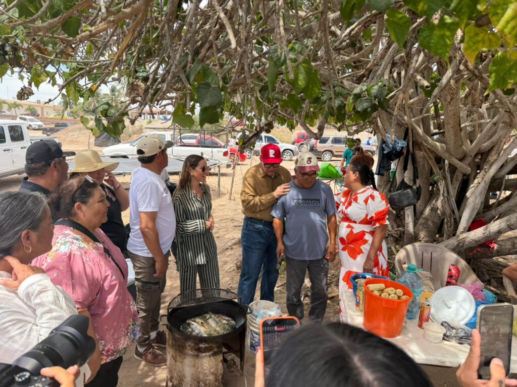 sinaloa-aaada-1024x768-1