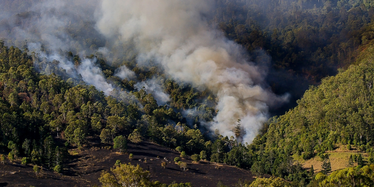 00-incendio-forestal-a