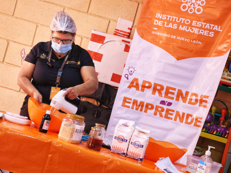 Apoyan con capacitación a emprendedores noeloneses