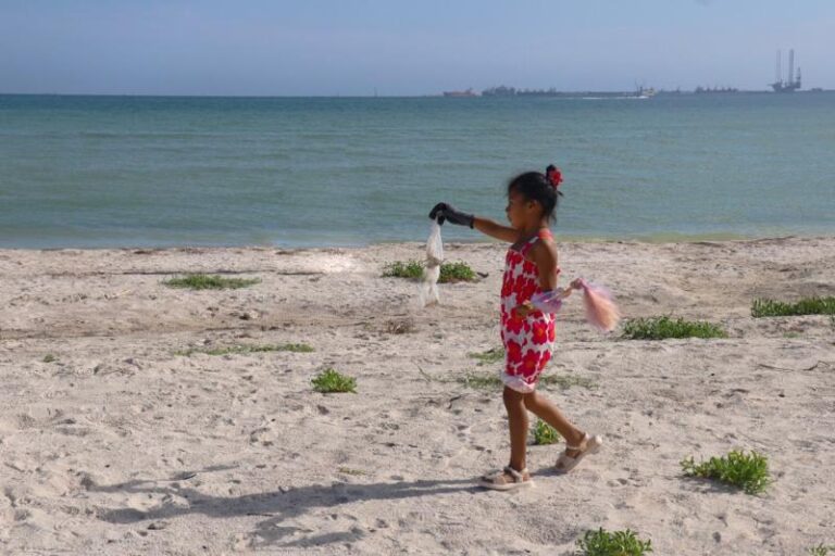 Comunidad y organizaciones se suman al cuidado de las playas de Progreso, Yucatán