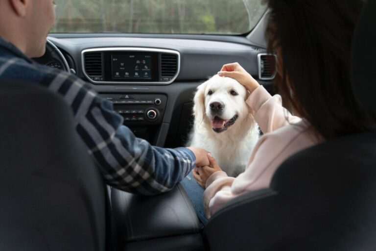 Algunos perros aprenden palabras escuchando conversaciones no dirigidas a ellos
