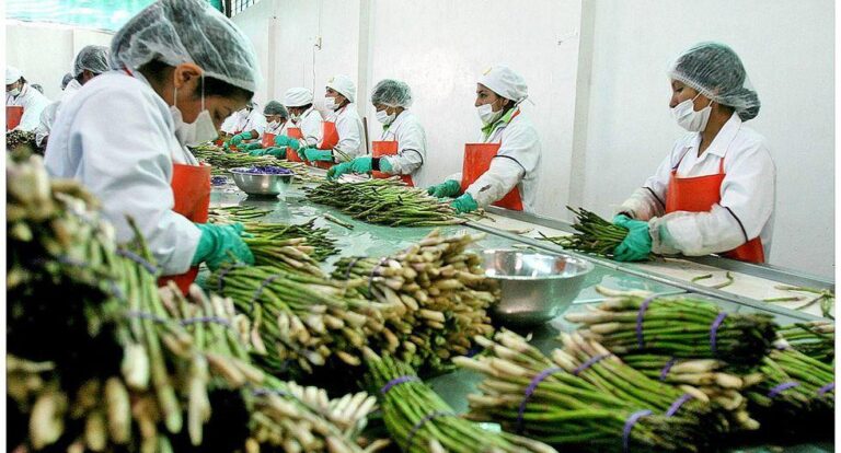 México logra cifra récord de 184 mdd en envío de alimentos al Reino Unido / Por Alicia Valverde