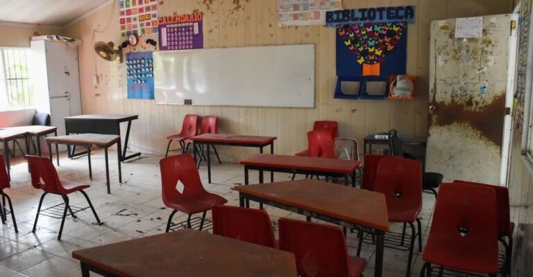 Regreso a clases: Precios de un diccionario con diferencias de hasta 75% / Por Alejandro Durán
