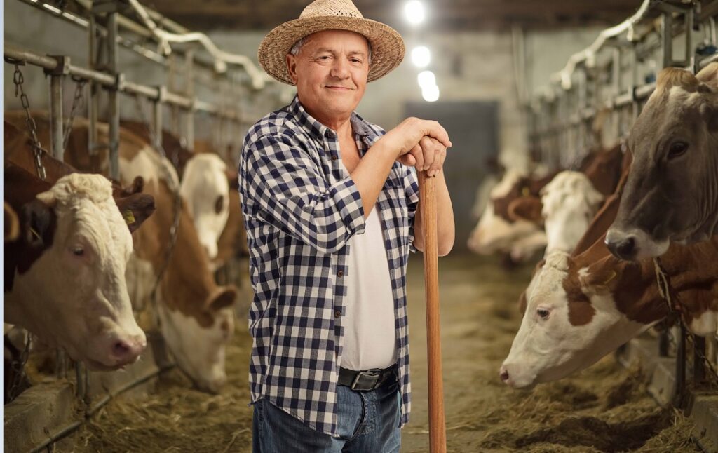 00-GANADO-VACUNO-VACAS-BOVINO-CAMPESINO-1024x646-1