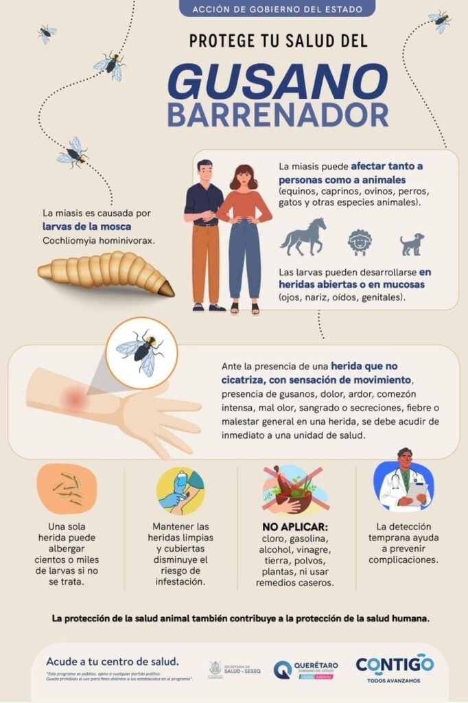 71_273_52317_1874151604_1_1808_SESA_PREVENCION_GUSANO_BARRENADOR-682x1024-1