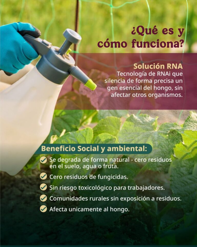 Producirá México el primer biofungicida de RNA en el mundo con una inversión de hasta 100 mdd / Por Alicia Valverde