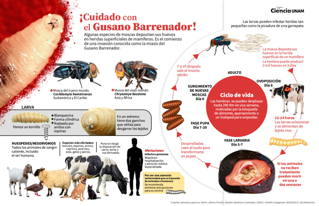 humanos-1024x662-1