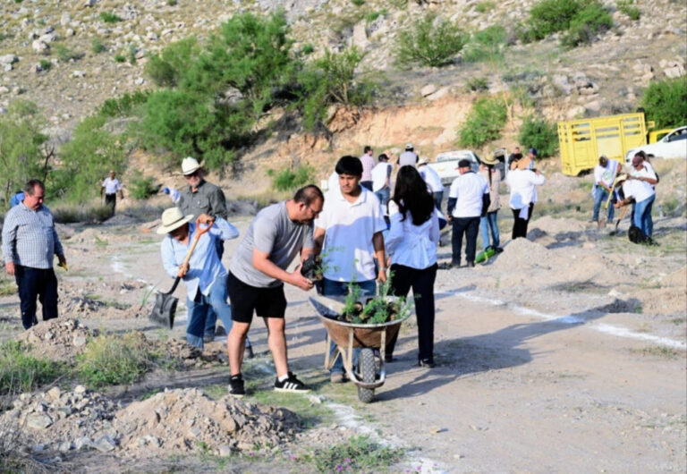 Con más de 13 mil árboles, Sonora se suma a la Jornada Nacional de Reforestación