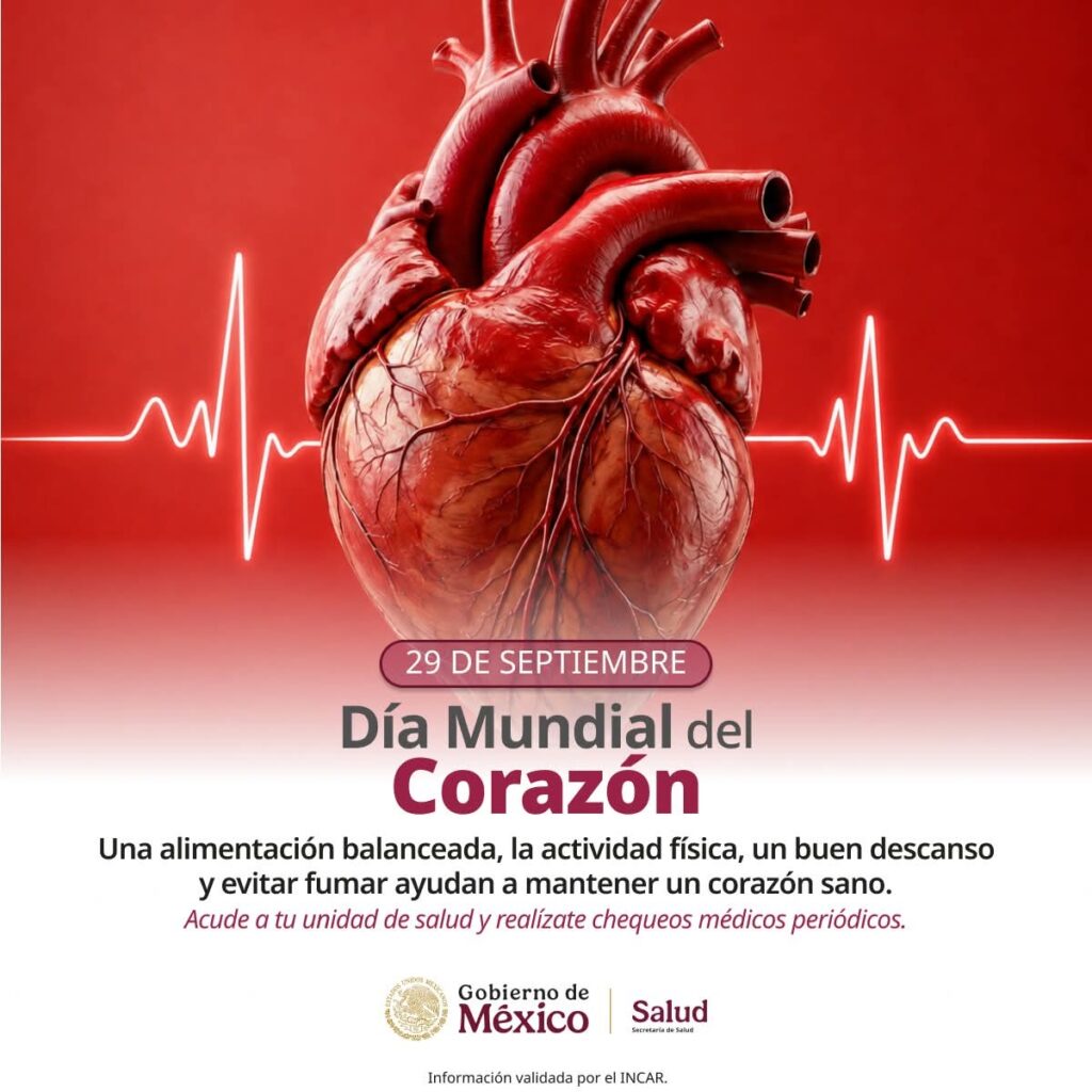 71_273_52738_305658026_1_2909_SESA_CORAZON-1024x1024-1